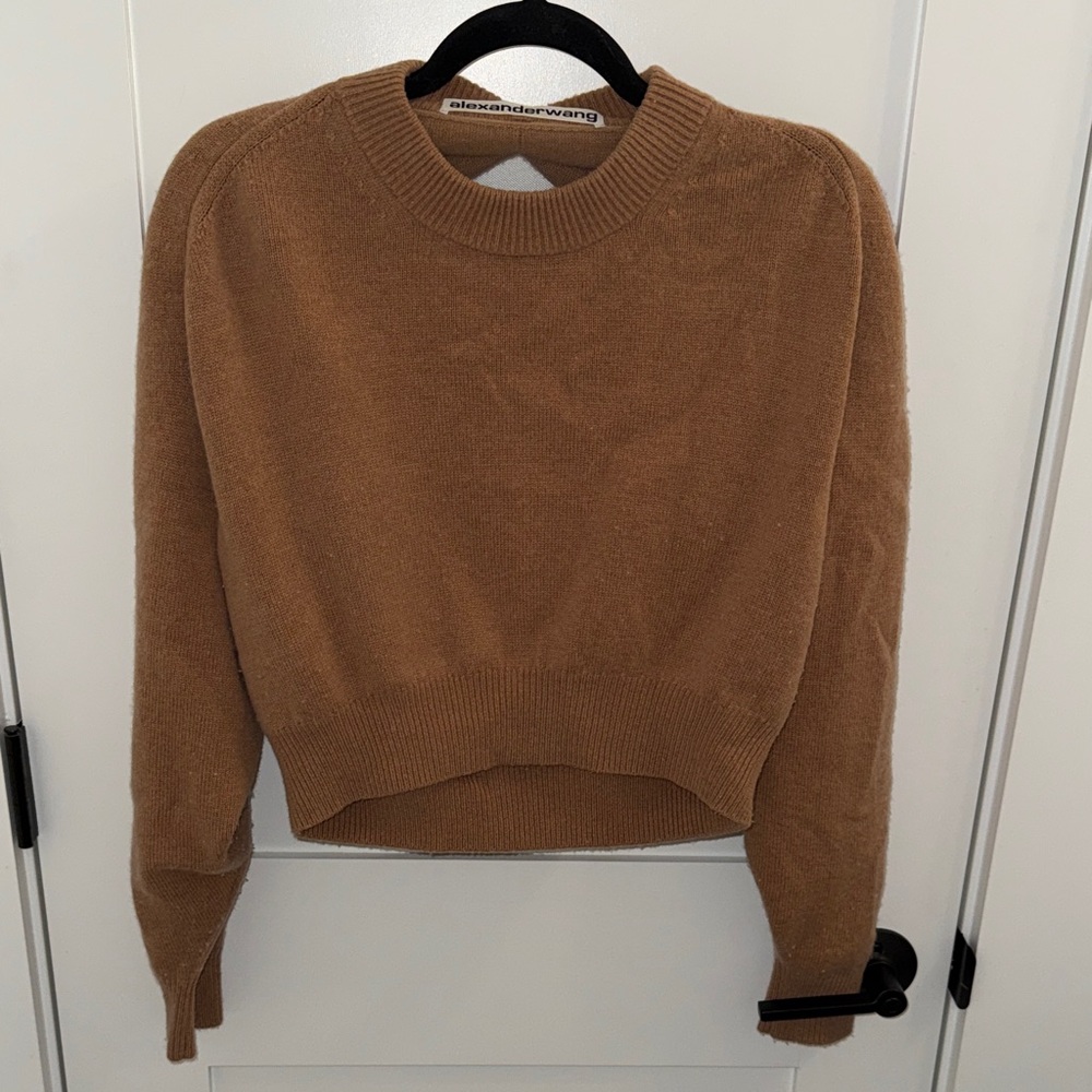 Alexander Wang Camel Cropped Sheer Back Sweater